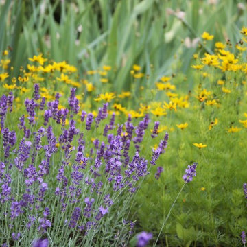 Delaunay Garden