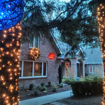 Holiday Light in Woodinville