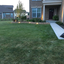 Retaining Walls/Tree Rings