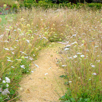 Salisbury - large suburban garden