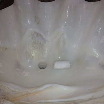 Real Clam Shell Sink Project