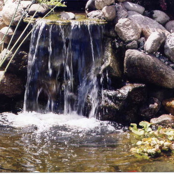 TJB-INC Display Gardens & Ponds - 12 Crestway Hamden