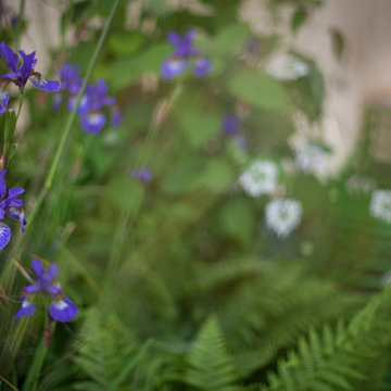 Stansted Garden Show 2016 The 'Rusty Foxglove Garden'