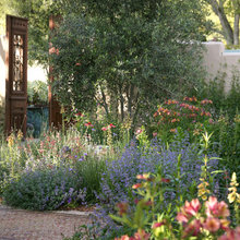 garden ideas