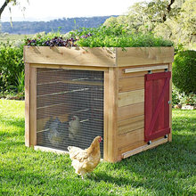 chicken coop