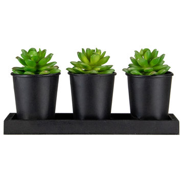 Set of 3 Mini Artificial Potted Succulents With Wood Planter 5"