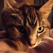 Robert Neblett's photo