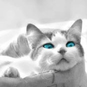 Raluca Constantinescu's photo