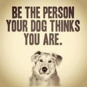 Tonis Birbilis's photo