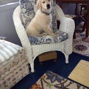 Kate Caldarella's photo