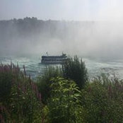 Judy Byrne's photo