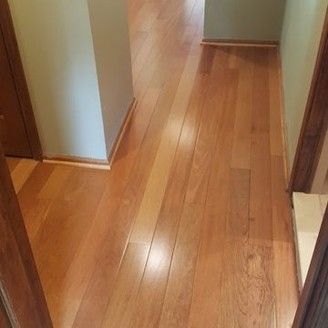 Brazilian Cherry / Jatoba Hardwood Flooring 4" in Morganville, NJ