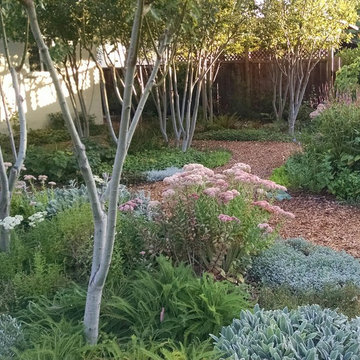 Shoestring eco-paradise and plant experimentation station