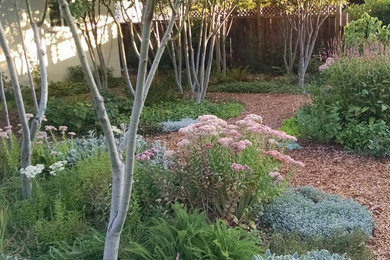 This is an example of a contemporary landscaping in Seattle.