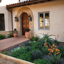 Drought tolerant landscape design