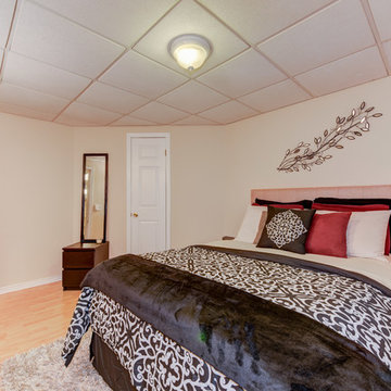 Basement Guest Room