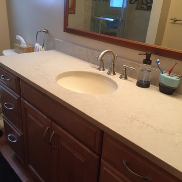 Depew- Transitional Bisc Bathroom