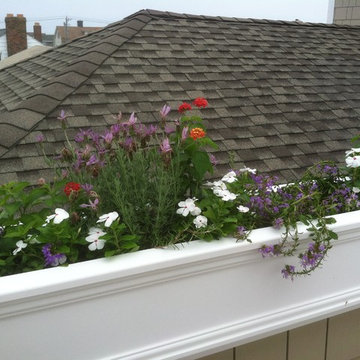 Container Gardens