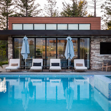 Modern Dream