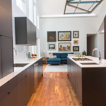 Salt Lake City Modern Kitchen