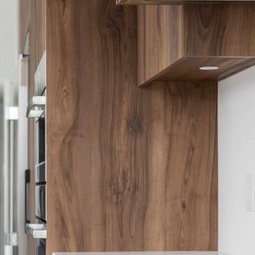 Luxury Condo Renovation - Alberni Street, Vancouver