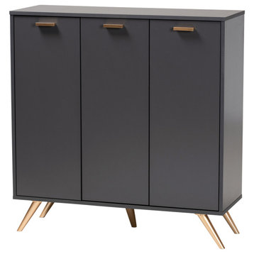 Goldsmith Modern Contemporary Dark Gray/Gold Shoe Cabinet