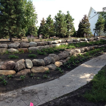 Backyard Oasis on the Farm