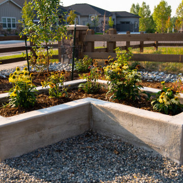 Modern Low-Maintenance Garden