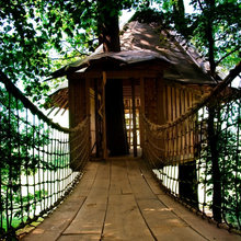 tree houses