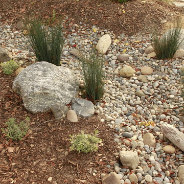 Venice Dry Creek
