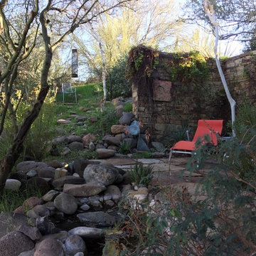 The Pond House 2017