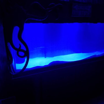 Saltwater Fish Tank Stand