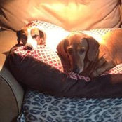 Terri Montigny's photo