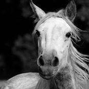 Ruth Webster's photo