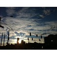 Dale Tu Photography's profile photo
