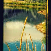 Tom Conklin's photo