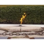 Mitch Sonnen's photo