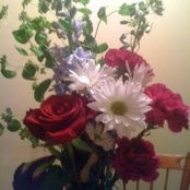 Filomena Siner's photo