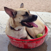 Kenny Ott's photo