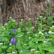 Jennifer Gardner's photo