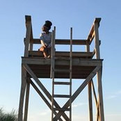 Sharday Lewis's photo