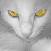 Trish Alderdice's photo
