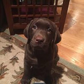 Sara Keenan's photo