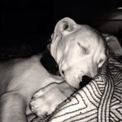 Brian Doue's photo