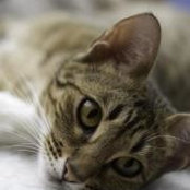 Manuela Croft's photo
