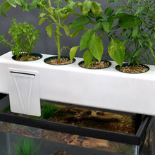 Gardening Indoor & Outdoor