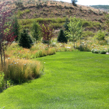 Mountain Green Landscape