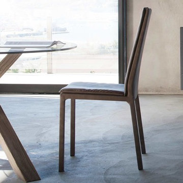 Modern Italian Dining Chairs