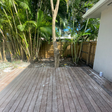 Miami Shores Landscape Design