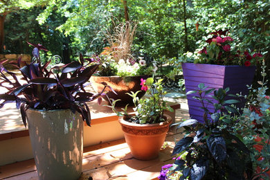 This is an example of an eclectic landscaping in DC Metro.